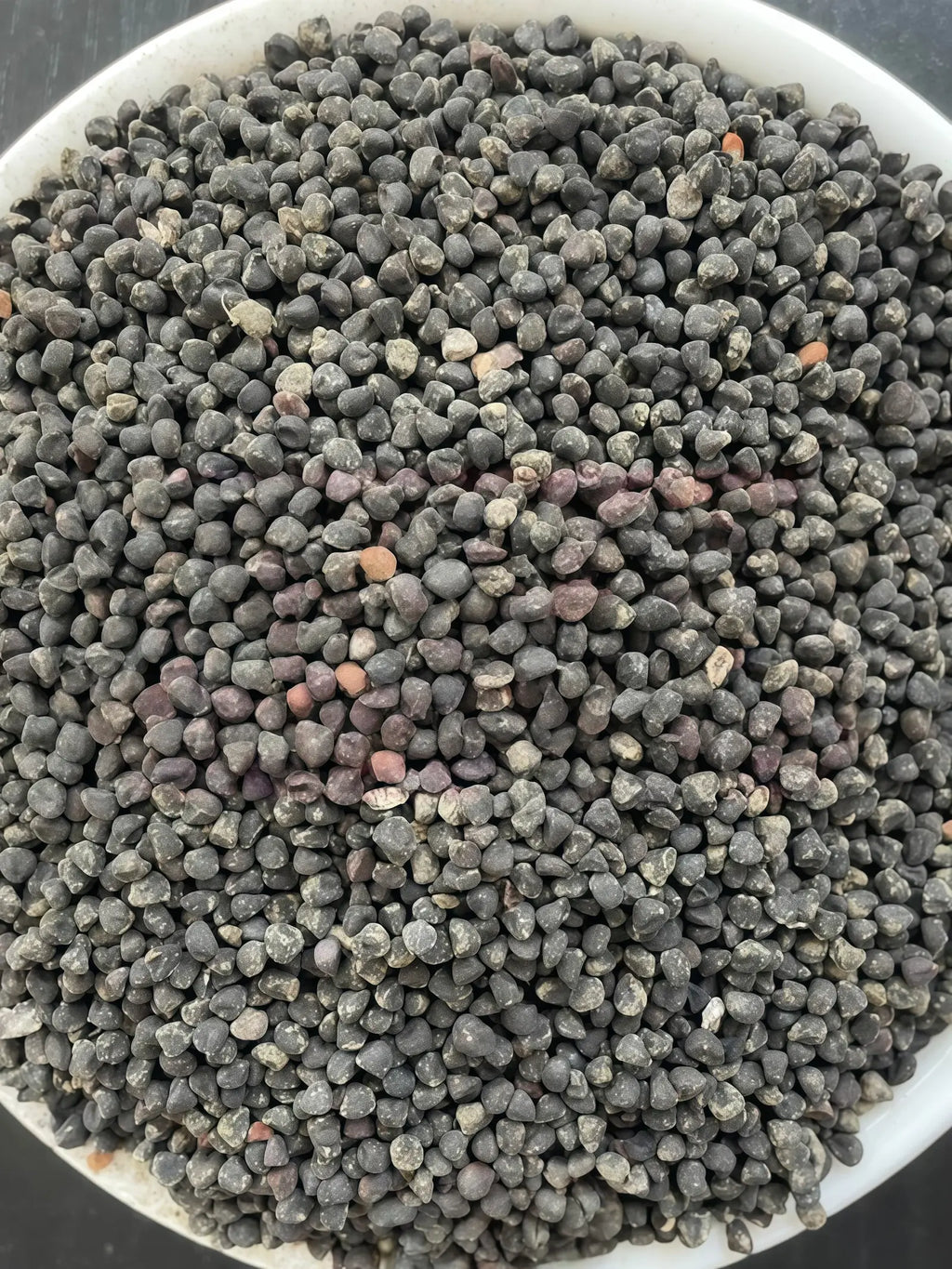 麦仙翁5