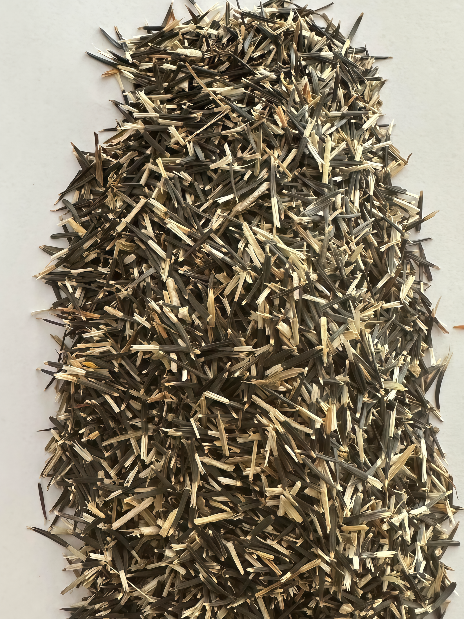 Durango Outback Mix Marigold Seed