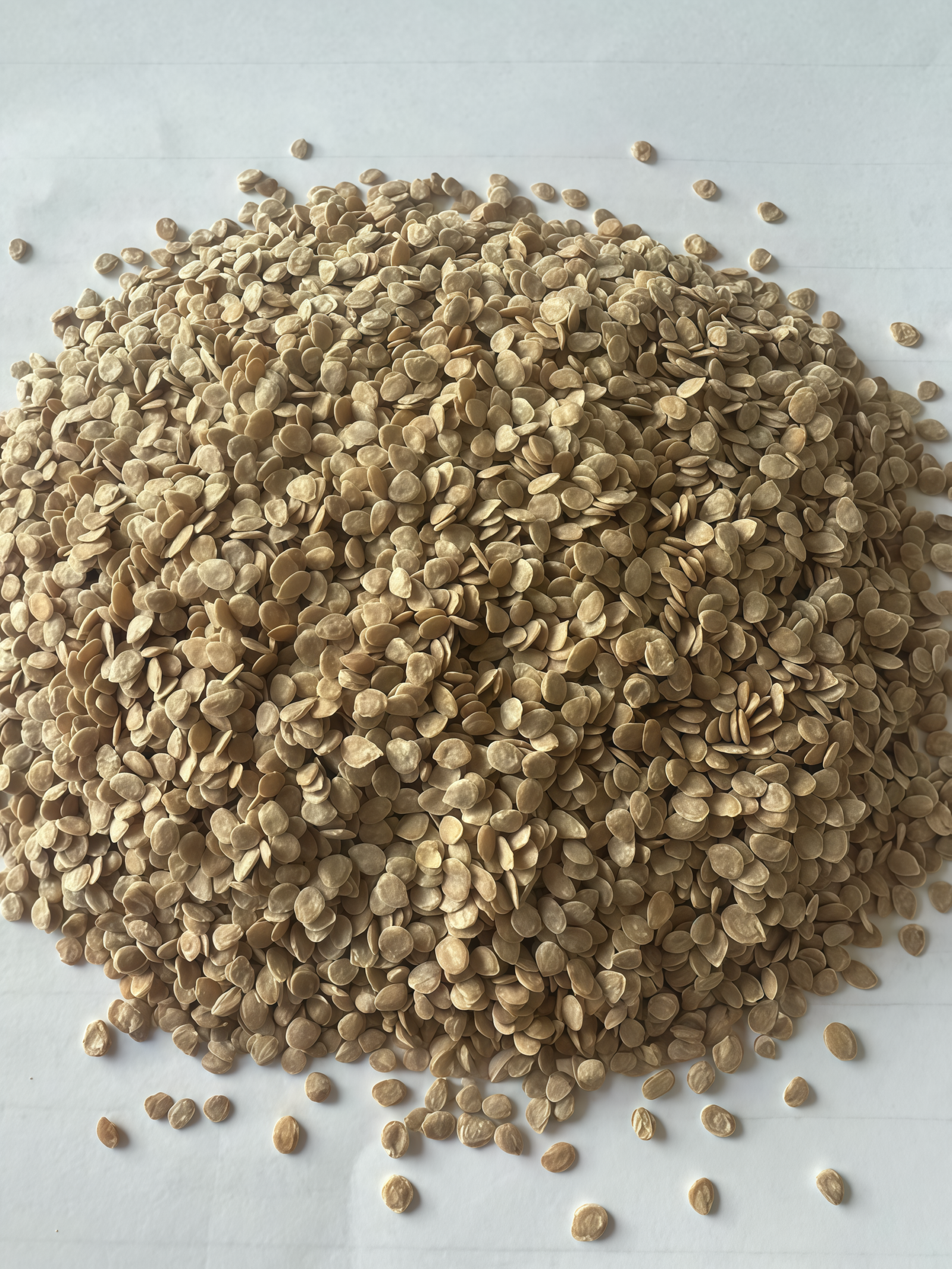 Amish Paste Organic Tomato Seed