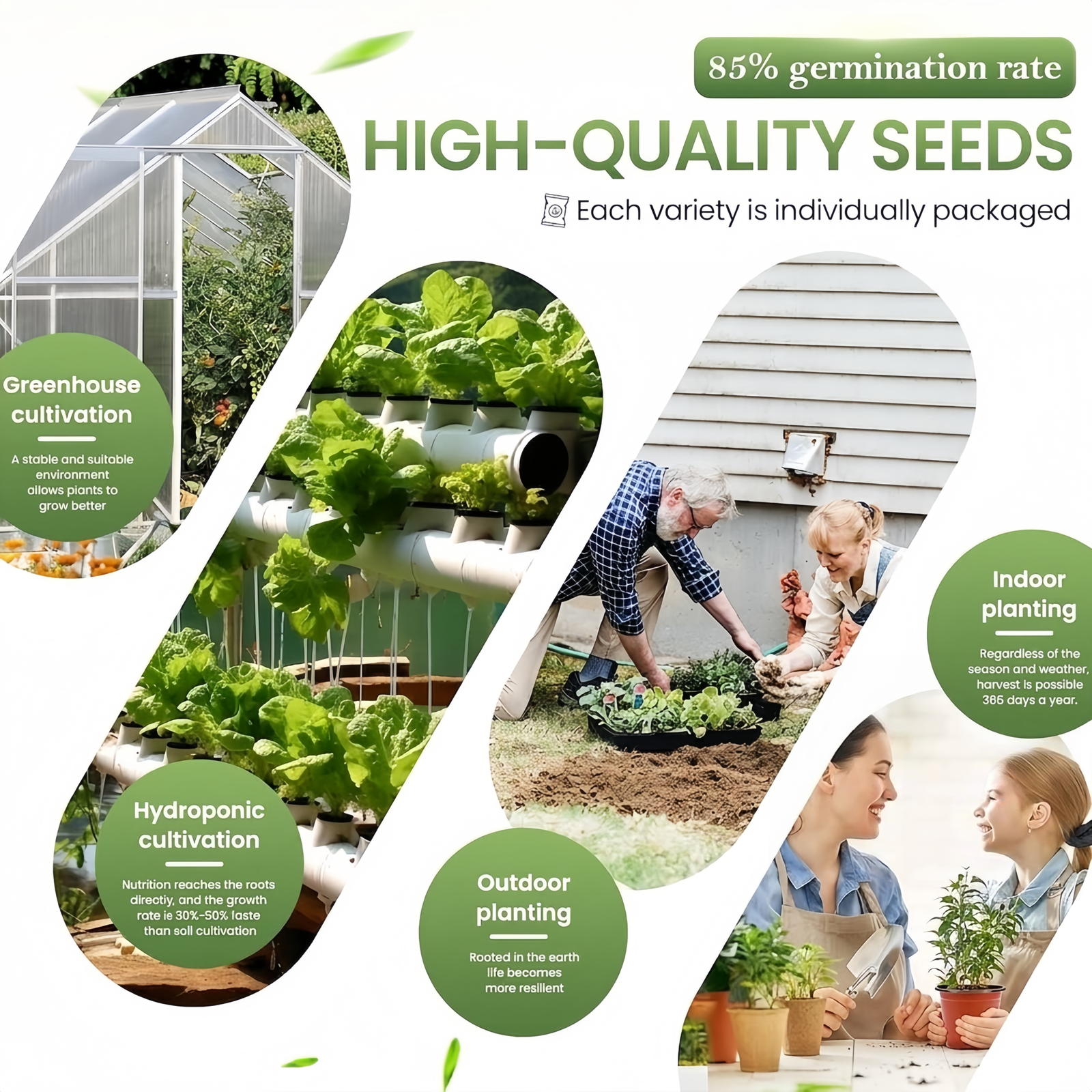 35 Premium Vegetable Seed Variety Pack