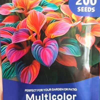 Mixed Hosta Seeds