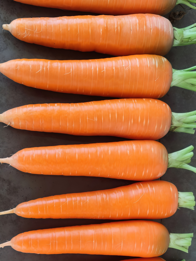 Bolero (F1) Carrot Seed