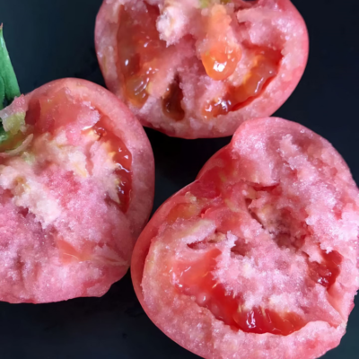 13425094849627622 Firebird (F1) Tomato Seed