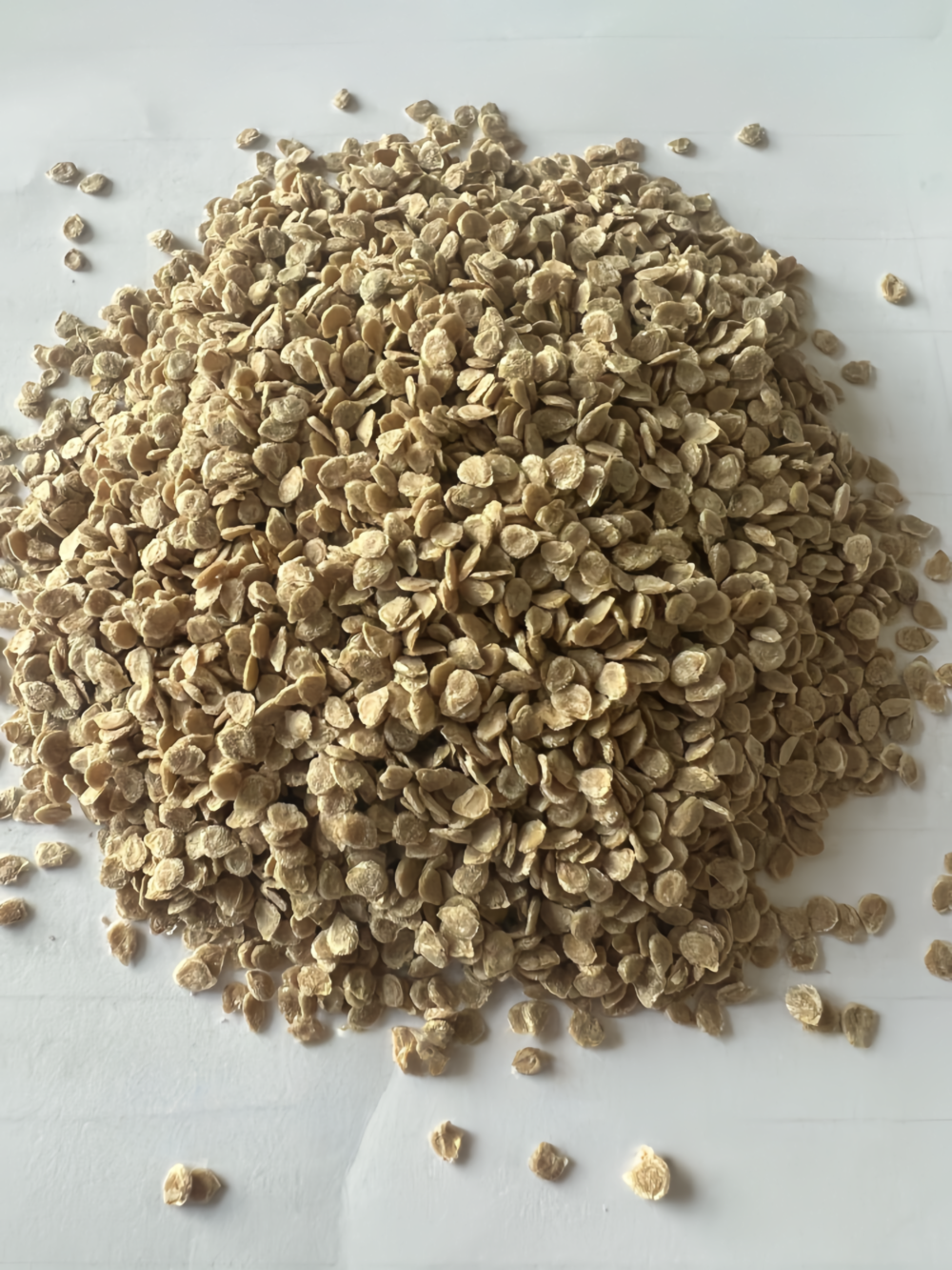 13425095873347084 Firebird (F1) Tomato Seed