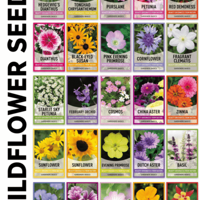 Butterfly and Hummingbird Flower Seed Mix - 24-Variety Blend