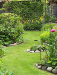 Butterfly and Hummingbird Flower Seed Mix - 24-Variety Blend