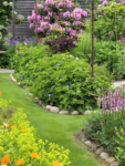 Butterfly and Hummingbird Flower Seed Mix - 24-Variety Blend