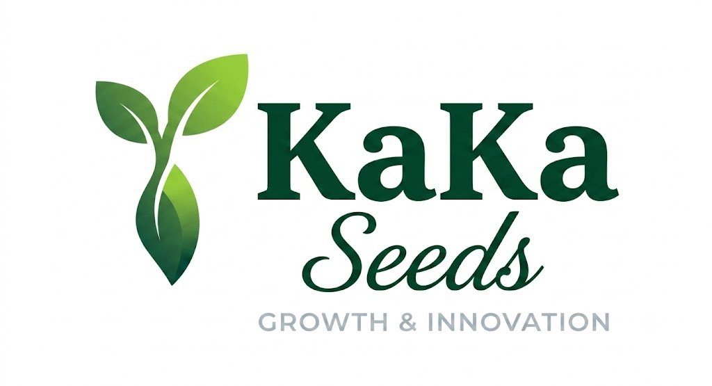 kkseed.xyz
