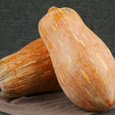 Block Party Organic (F1) Butternut Squash Seed