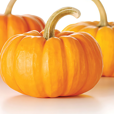 圆南瓜1 Wan Fu (F1) Pumpkin Seed
