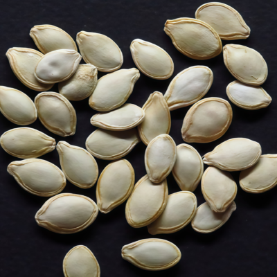 圆南瓜5 Wan Fu (F1) Pumpkin Seed