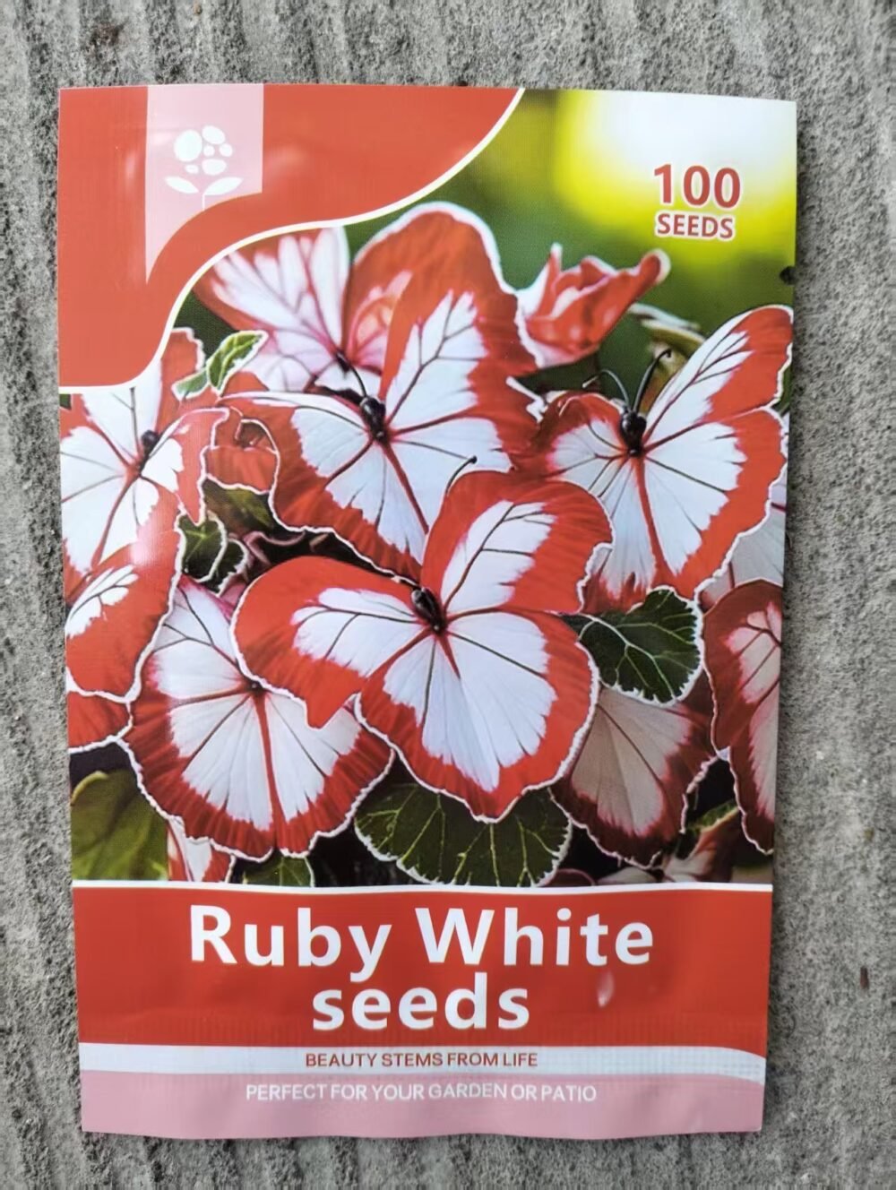微信图片_20260627170436 Butterfly Leaf Geranium Seeds - 100 Seeds