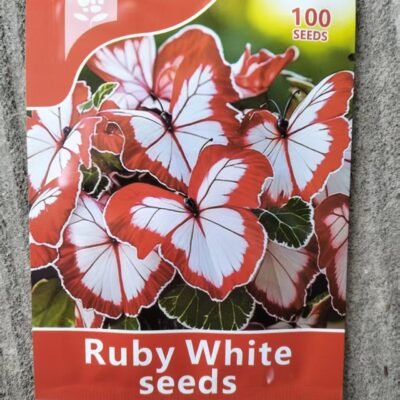 微信图片_20260627170436 Butterfly Leaf Geranium Seeds - 100 Seeds