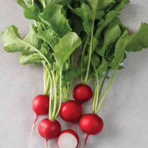 Sora Organic Radish Seed