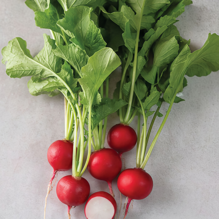 樱桃萝卜4 Sora Organic Radish Seed