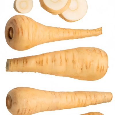 欧防风3 Dagger (F1) Parsnip Seed