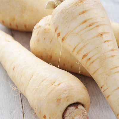 欧防风4 Dagger (F1) Parsnip Seed