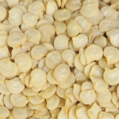 甜椒5 Nitro (F1) Bell Pepper Seed