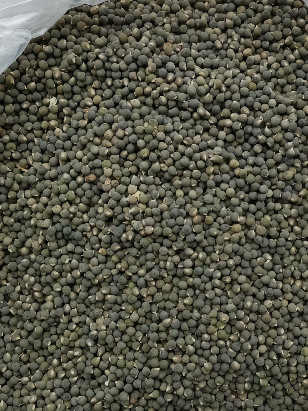 秋葵5 Clemson Spineless Organic Okra Seed