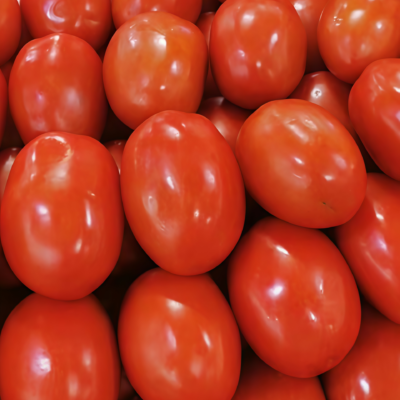 罗马番茄3 Amish Paste Organic Tomato Seed
