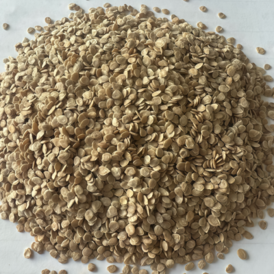 罗马番茄7 Amish Paste Organic Tomato Seed
