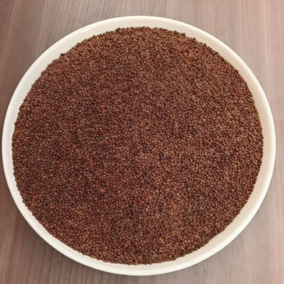 羽衣甘蓝5 Winterbor (F1) Kale Seed
