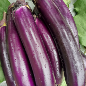 Turkish Delight Organic (F1) Eggplant Seed