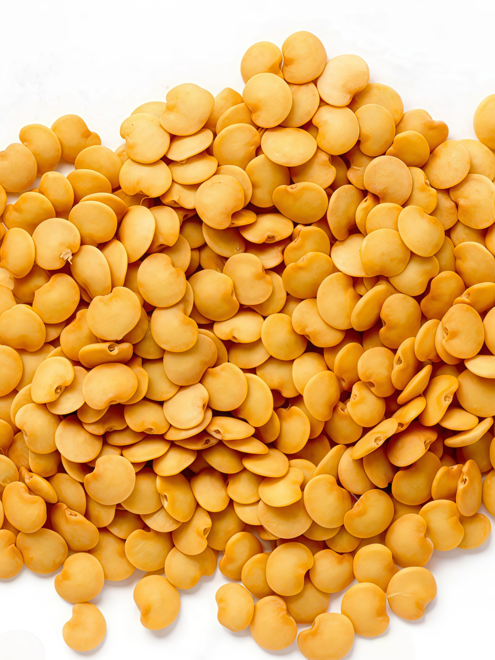 Turkish Delight Organic (F1) Eggplant Seed