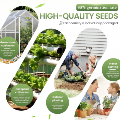 蔬菜大全4 35 Premium Vegetable Seed Variety Pack