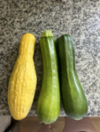 35 Premium Vegetable Seed Variety Pack