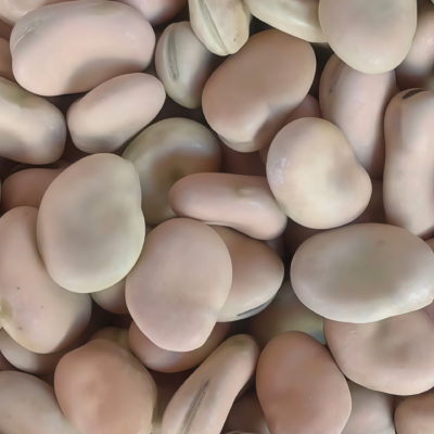 Vroma Bean Seed