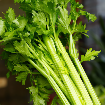 西芹1 Tango Organic Pelleted Celery Seed
