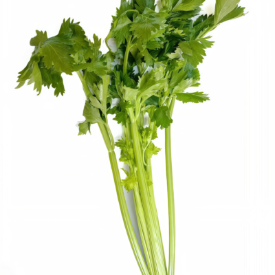 西芹3 Tango Organic Pelleted Celery Seed