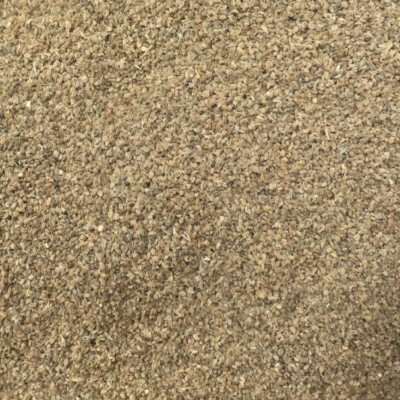 西芹5 Tango Organic Pelleted Celery Seed