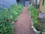 Premium Wildflower Mix Seeds: 134,000 Seeds Per Bag