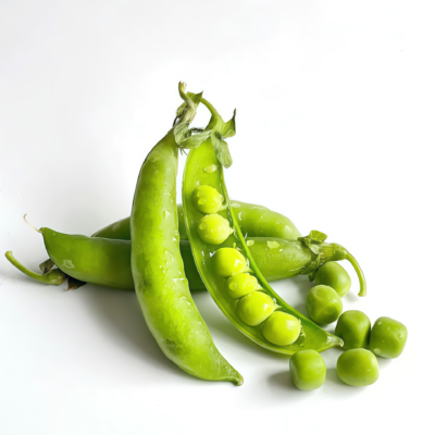 豌豆1 Maxigolt Pea Seed