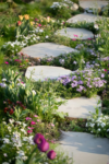 Premium Wildflower Mix Seeds: 134,000 Seeds Per Bag