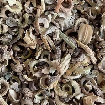 金盏菊5 Alpha Organic Calendula Seed